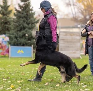 Meet your Posher, Jamie